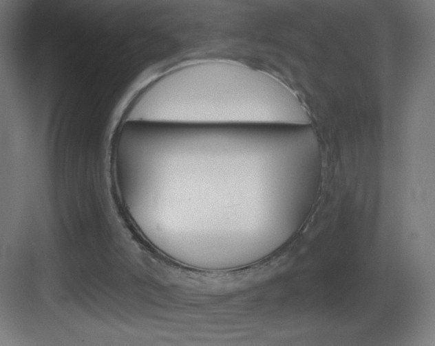 X0000083570006200702090827