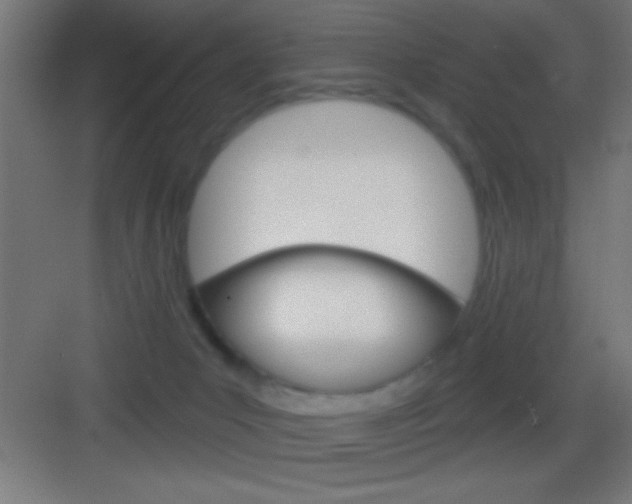 X0000083570031200702090827