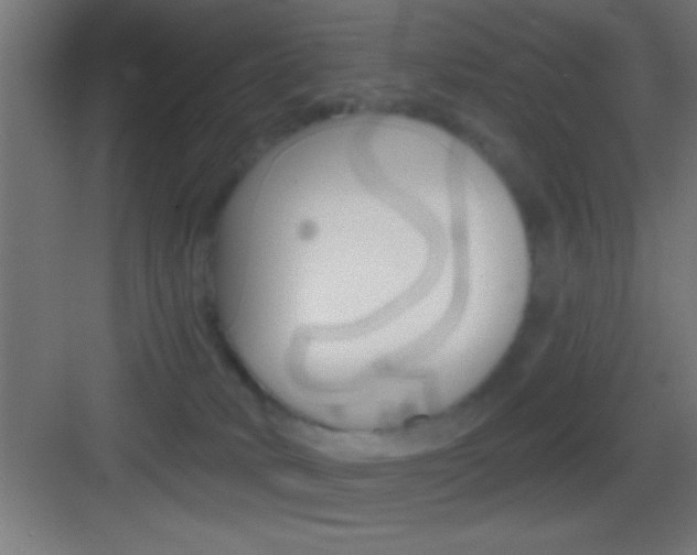 X0000083570034200702090827