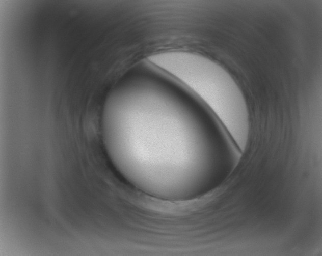 X0000083570035200702090827