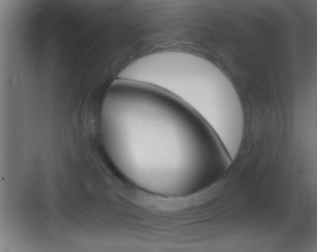X0000083570039200702090826