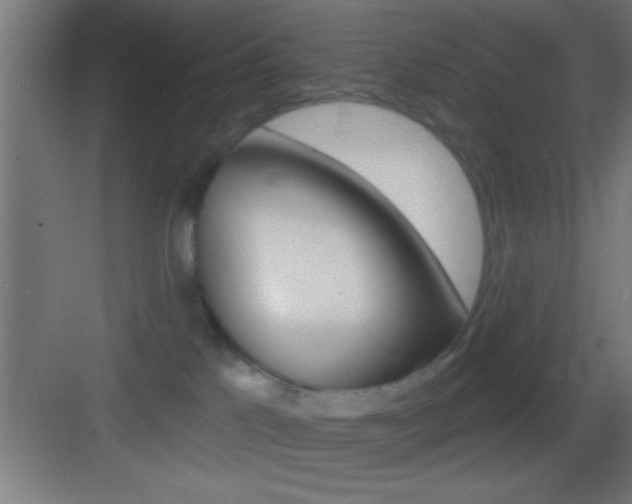 X0000083570041200702090826