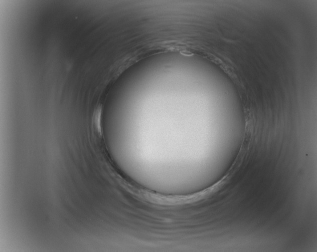 X0000083570047200702090826