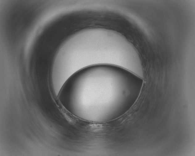 X0000083570052200702090826