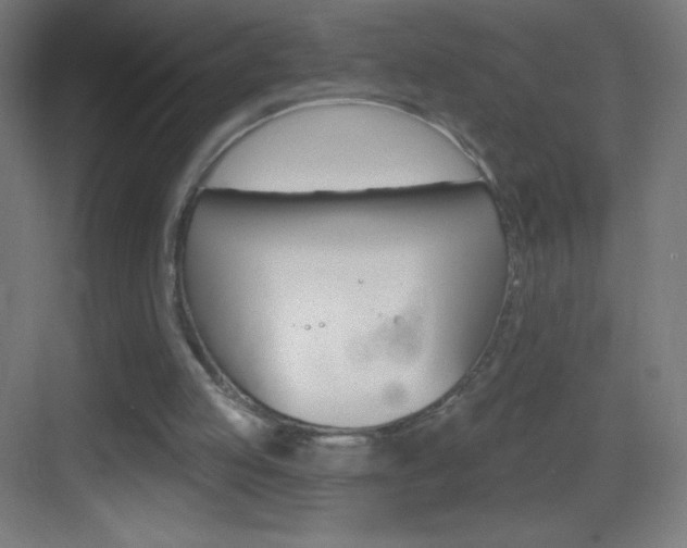 X0000083570053200702090826