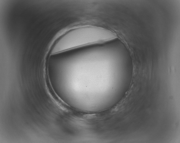 X0000083570054200702090826