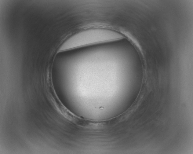 X0000083570057200702090826