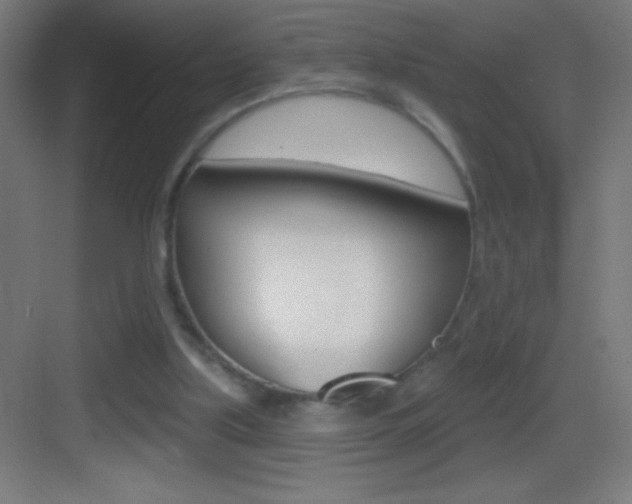 X0000083570059200702090826