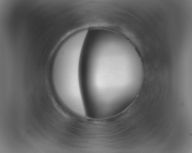 X0000083570060200702090826