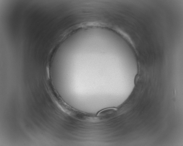 X0000083570061200702090826