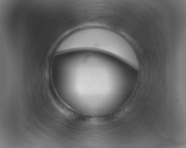 X0000083570064200702090826