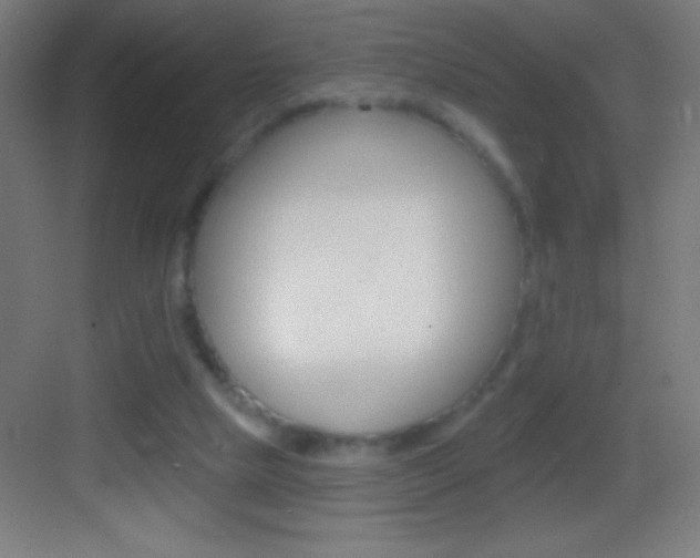 X0000083570065200702090826
