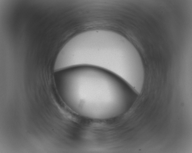 X0000083570066200702090826
