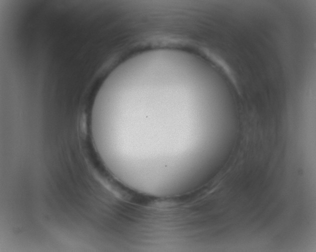 X0000083570067200702090826