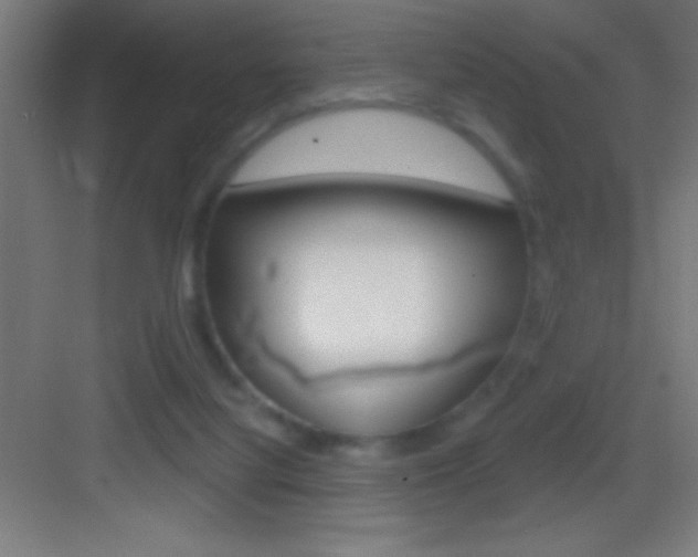 X0000083570068200702090826