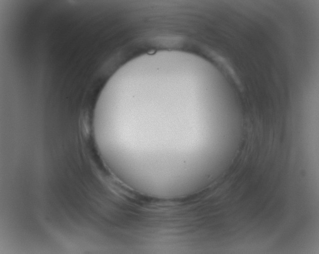 X0000083570069200702090826