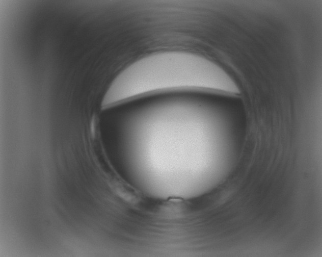 X0000083570076200702090826