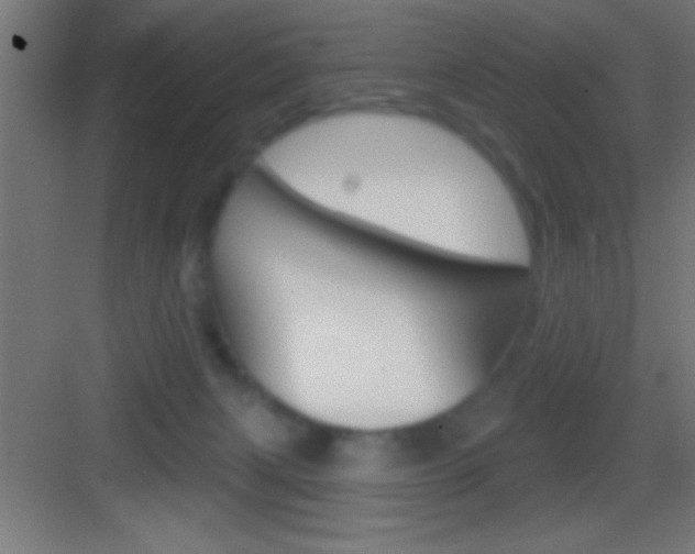 X0000083570079200702090826