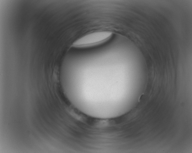 X0000083570083200702090826