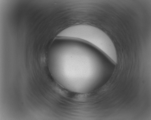 X0000083570084200702090826