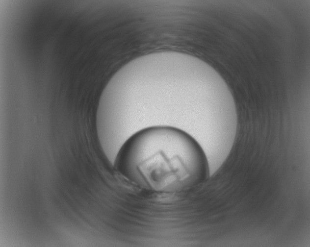 X0000083570088200702090826