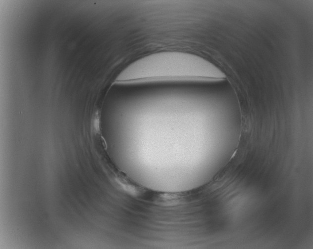 X0000083570095200702090826