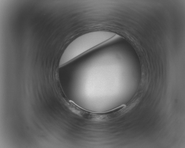 X0000083570096200702090826