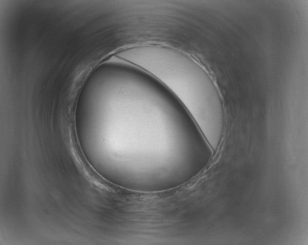 X0000083570097200702090825
