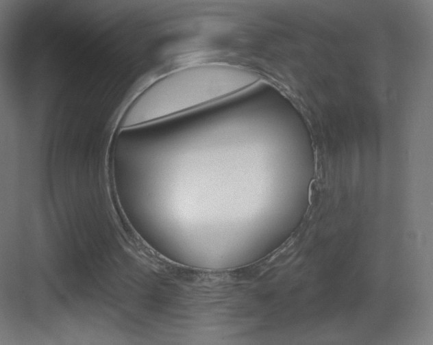 X0000083570099200702090825