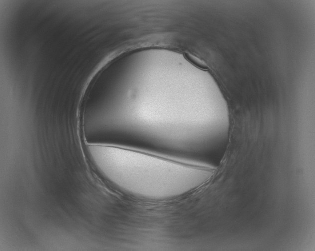 X0000083570100200702090825