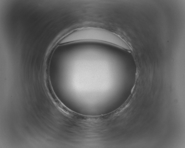 X0000083570101200702090825
