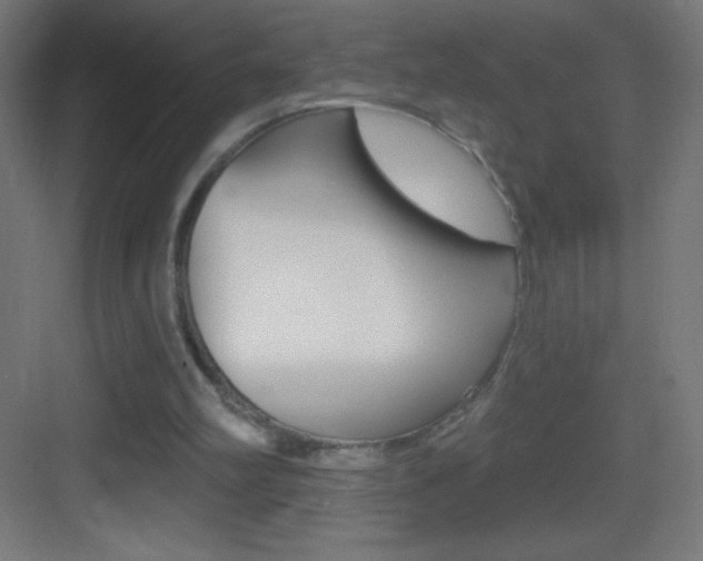 X0000083570102200702090825