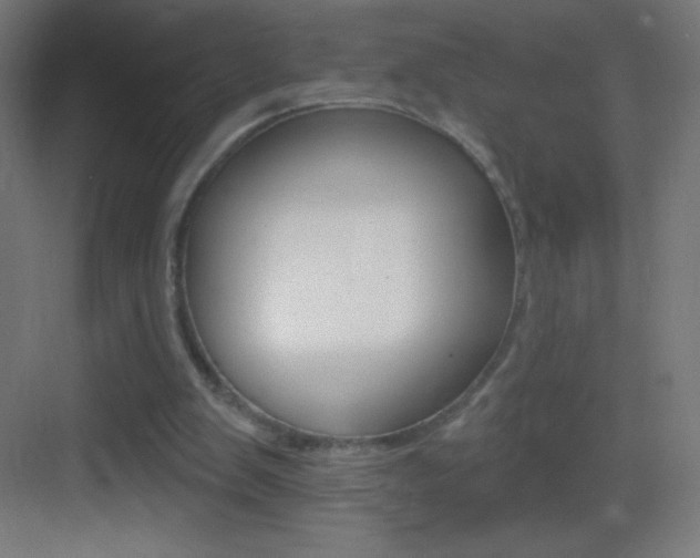 X0000083570103200702090825