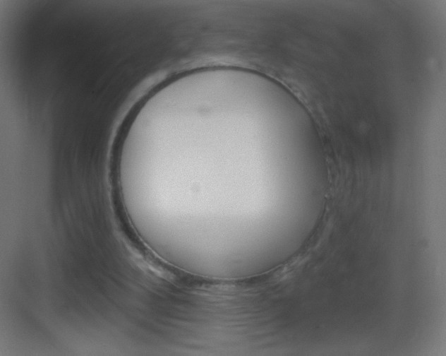 X0000083570104200702090825