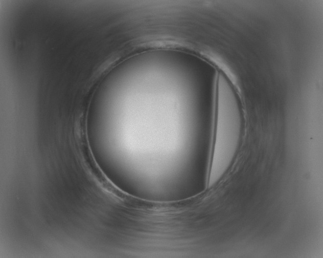 X0000083570105200702090825