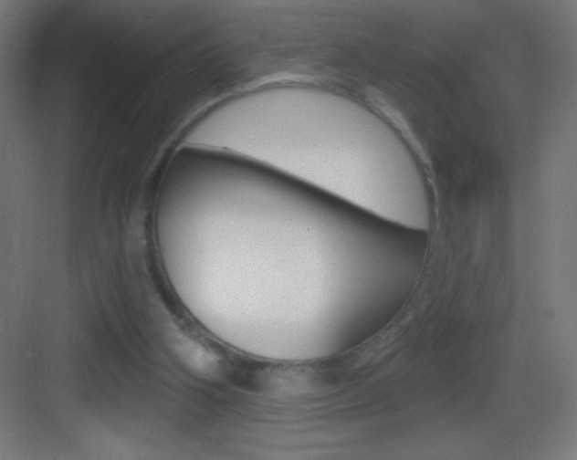 X0000083570106200702090825