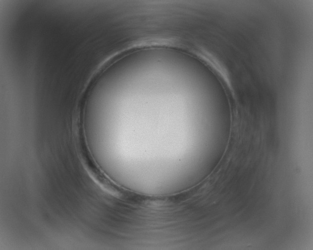 X0000083570107200702090825