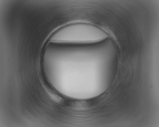 X0000083570108200702090825