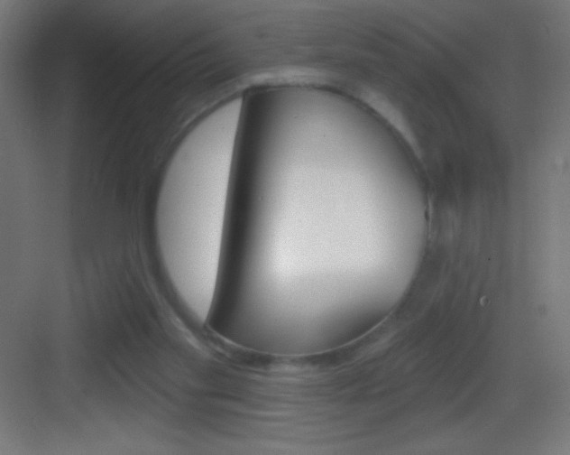 X0000083570109200702090825