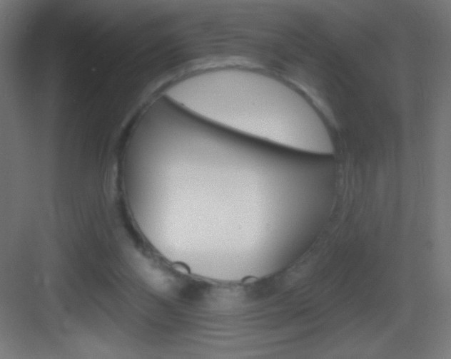 X0000083570110200702090825