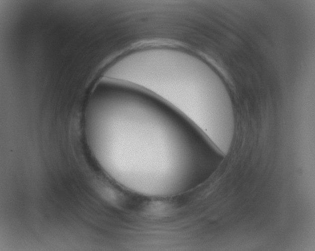 X0000083570111200702090825
