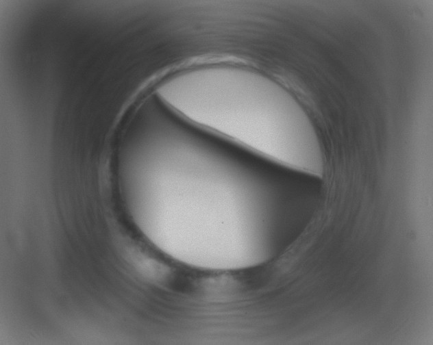 X0000083570112200702090825