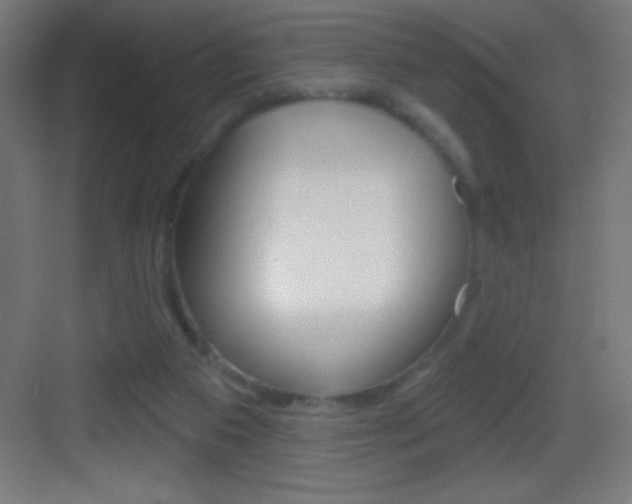 X0000083570113200702090825