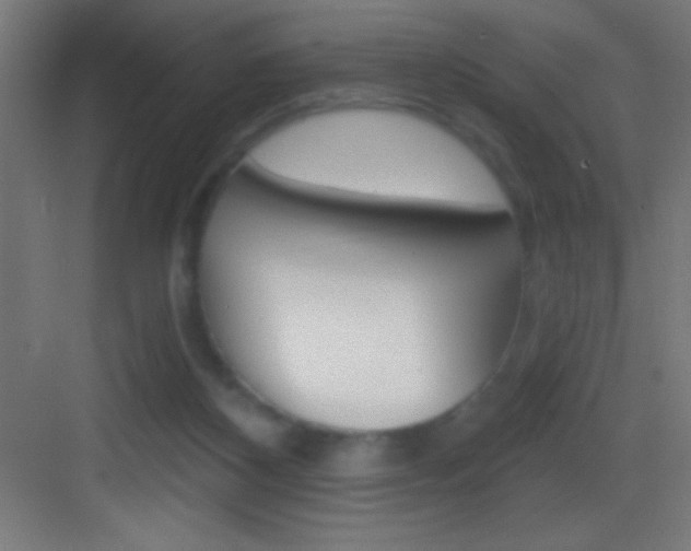 X0000083570116200702090825