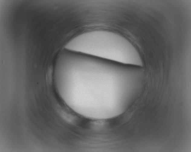 X0000083570118200702090825