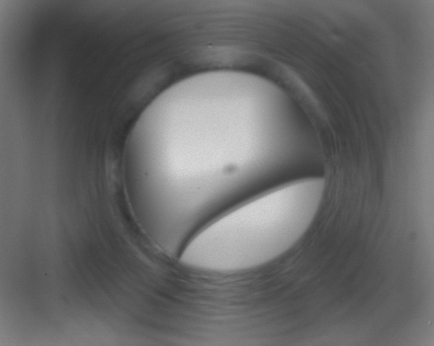 X0000083570119200702090825