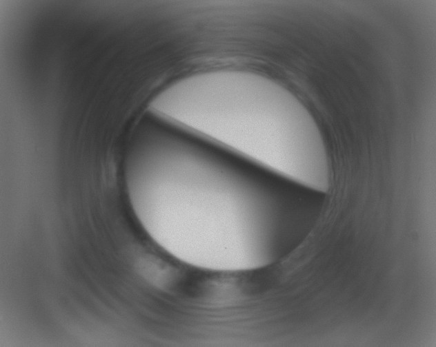 X0000083570120200702090825
