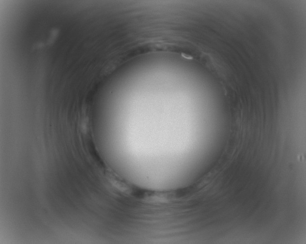 X0000083570129200702090825