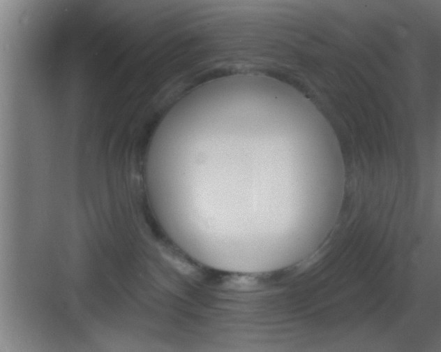 X0000083570140200702090825