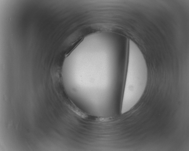 X0000083570141200702090825